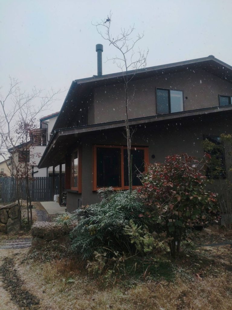 雪です!